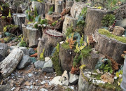 MANÓFALVA ÉS A NAGY MAGYAR TÁRSADALMI REGRESSZIÓ