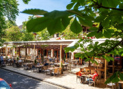 TAVERNA ÉTTEREM – REFORMKORI BALATON, AVAGY CSALÁDOM VADREGÉNYES TÖRTÉNETE